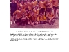 norfc_v_lsub