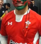 WelshFanvsAus WelshFanvsAus